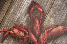 Guess what will be eaten up in these “40” days of Lent!