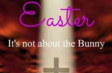 It is not about the bunny