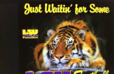 Just waiting on those Tigers!