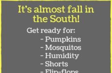 Yep this is our Fall