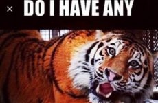 Do I have any Gator stuck in my teeth???