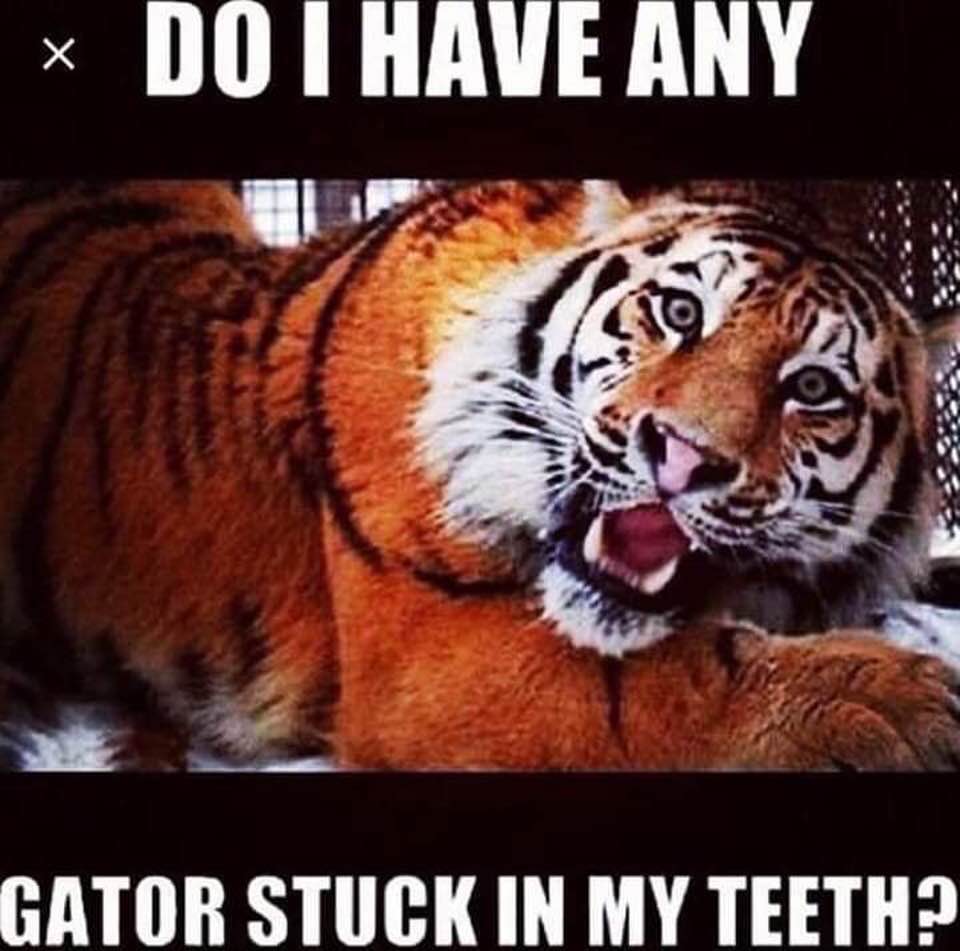 Do I have any Gator stuck in my teeth???