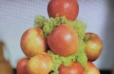 Fall decor with apples