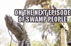 On the next episode ...