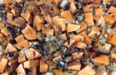 Sweet and Spicy Roasted Yams, Portabella Mushrooms and Onions