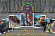 2nd Annual Imperial Mardi Gras Parade