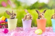 Lent benefits us all