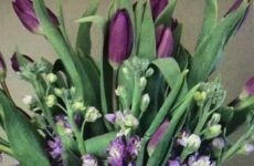 East Decorating Ideas