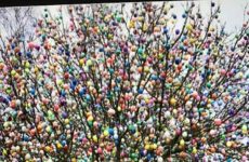 Egg Tree