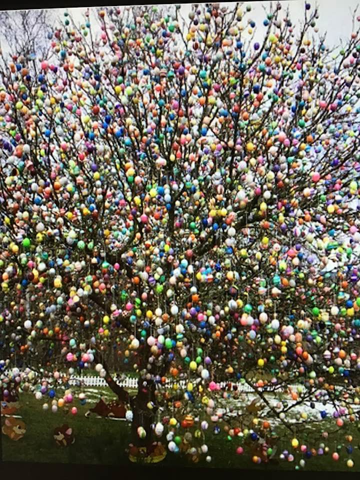 Egg Tree