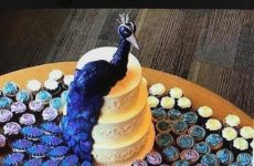 Lordy some people amaze me !