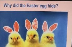Why did the Easter Egg hide?