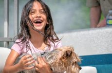 Poppa (Hubby) took Grand Peep Sophia and Bachus through the lake water fountain.