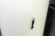 Well like we need them right now