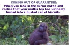 Coming out of Quarantine...