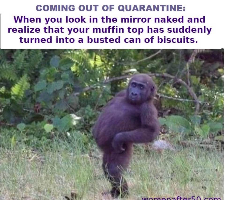 Coming out of Quarantine...
