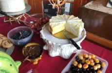 Desserts today. Not showing was homemade peach, vanilla and chocolate ice cream. Great day!