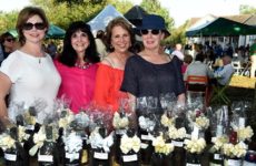 Today would of been The Walking Ladies Wine-Up!