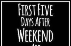 First Five Days...