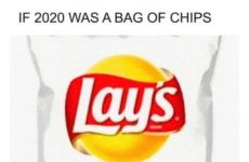 If 2020 was a bag of chips!