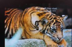 When will they start?