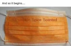 Flavorful Seasonal Masks. Just what we need!