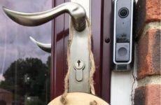 Homeschooling in progress...