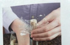 “Put A Cork in It!