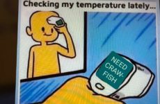 Checking my temperature lately....