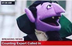 Counting Exper Called In...