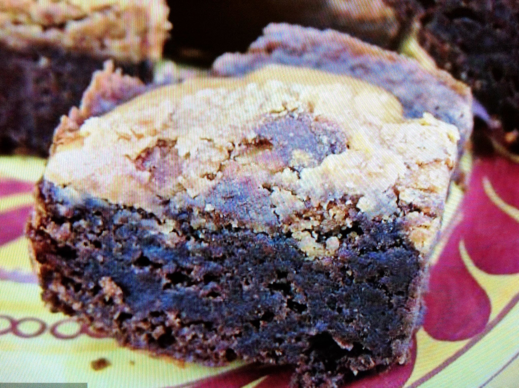 Fudgy Pumpkin Brownies