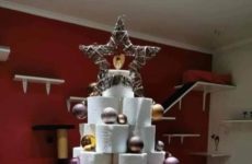 2020 Christmas Tree Ideas