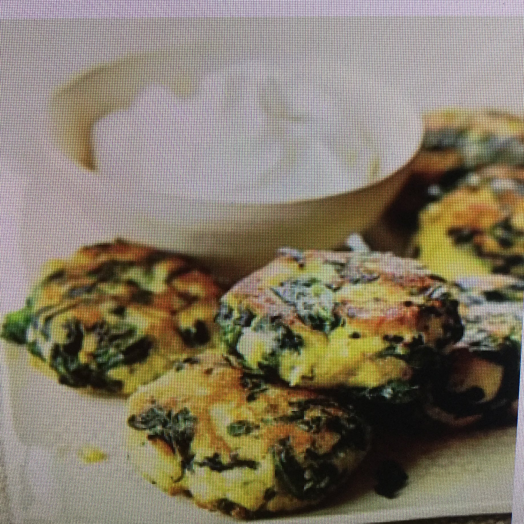 Breakfast Spinach-Potato Fritter