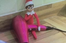 Bad Elf