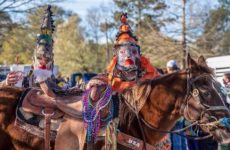 All things Mardi Gras