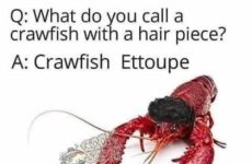 Crawfish Ettoupe