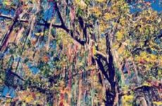 Let the Mardi Gras Season begin. Safely!