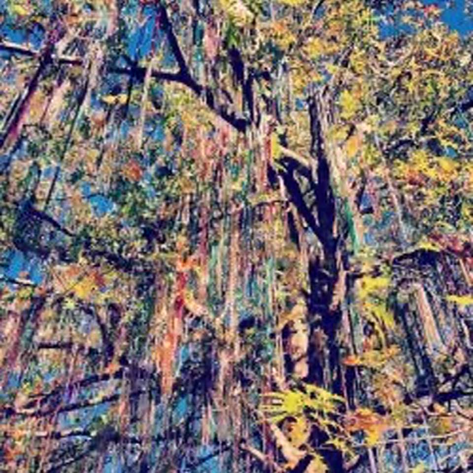 Let the Mardi Gras Season begin. Safely!