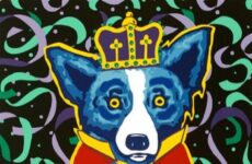 Blue Dog - Festival Ready