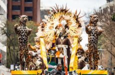 Festival rolling and stationary