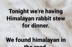 Need a little humor today!