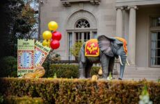 The Big Easy on a roll!