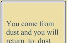 You come from dust...