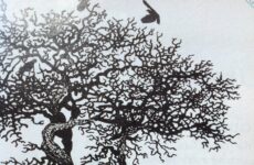 CAN I LAND ON MY FEET