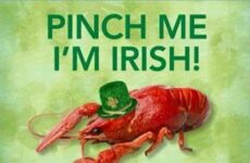 Pinch Me I'm Irish