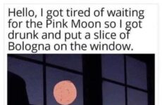 Got tired of waiting