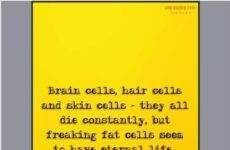 freaking fat cells...