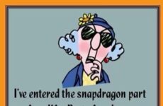 I have entered the snapdragon part of my life....