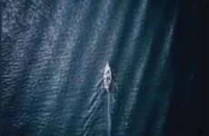 If you see a Yacht at sea...