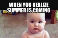 When you realize summer is coming